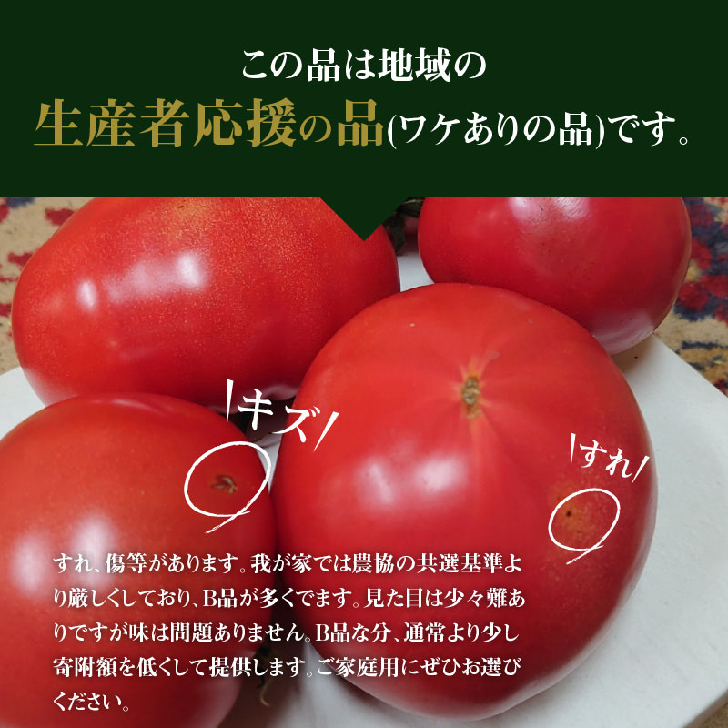 訳あり この道40年の農家から直送 完熟！桃太郎トマト6～9玉　H139-019