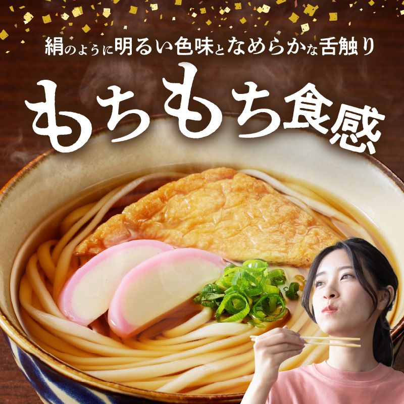 【乾麺】碧海の恵み うどん 愛知県産 徳用セット3.75kg(250g×15袋)　H008-225