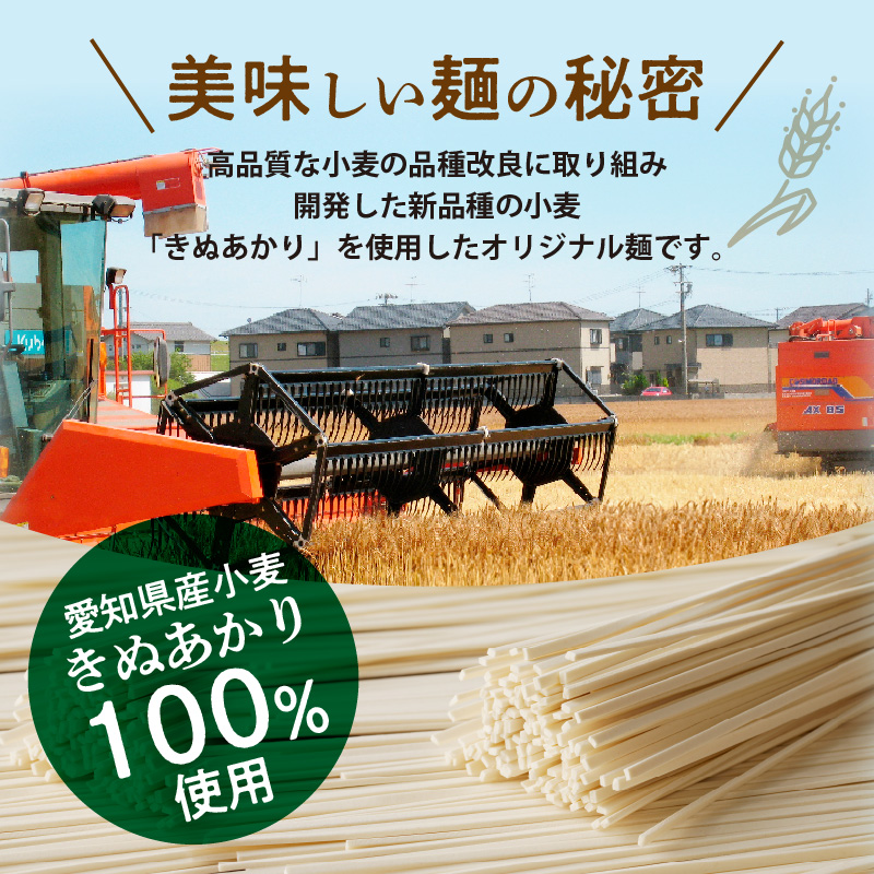 【乾麺】碧海の恵み うどん 愛知県産 徳用セット3.75kg(250g×15袋)　H008-225