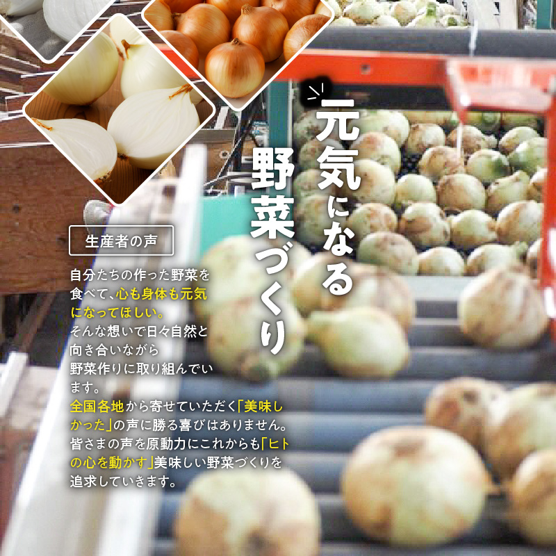 (2026年発送)新玉ねぎ 生がおいしい 神重農産のブランド玉ねぎ「旬玉」10kg ブランド玉ねぎ 玉ねぎ 国産 愛知県産 野菜 やさい 農家直送 畑直送 旬 期間限定 たまねぎ 先行予約 旬 特産 高評価 高リピート 人気 H105-177