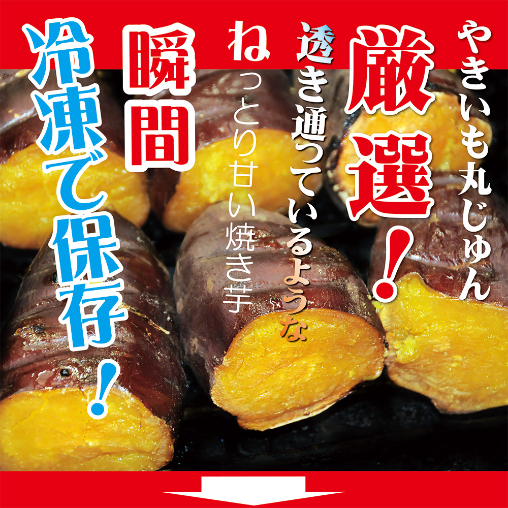 焼き芋 冷凍 冷やし焼き芋 シャリシャリちゃん 1kg(100g×10) 紅はるか＆シルクスイート　H047-033