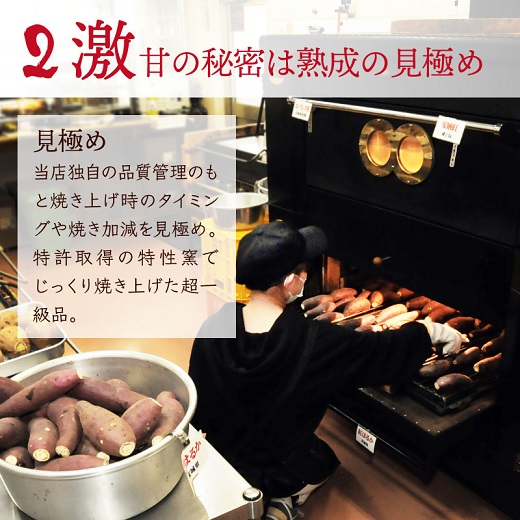 焼き芋 冷凍 冷やし焼き芋 シャリシャリちゃん 1kg(100g×10) 紅はるか＆シルクスイート　H047-045