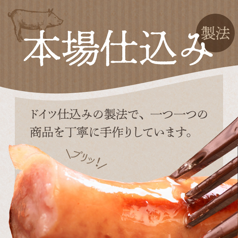 【定期便３回お届け】手作りハム工房シュヴァインハイムの満喫セット H003-040