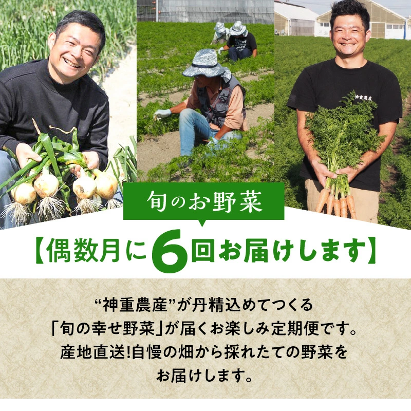 【偶数月にお届け】6回定期便 農家直送 神重農産の旬の幸せ野菜 お楽しみ定期便 にんじん 玉ねぎ 落花生　H105-108