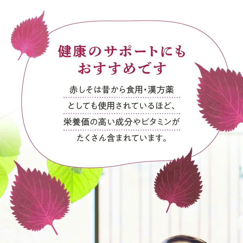 【碧南産赤しそ使用 】さわやかな甘み！農家がつくった赤しそシロップ 600ml×2本　H165-004