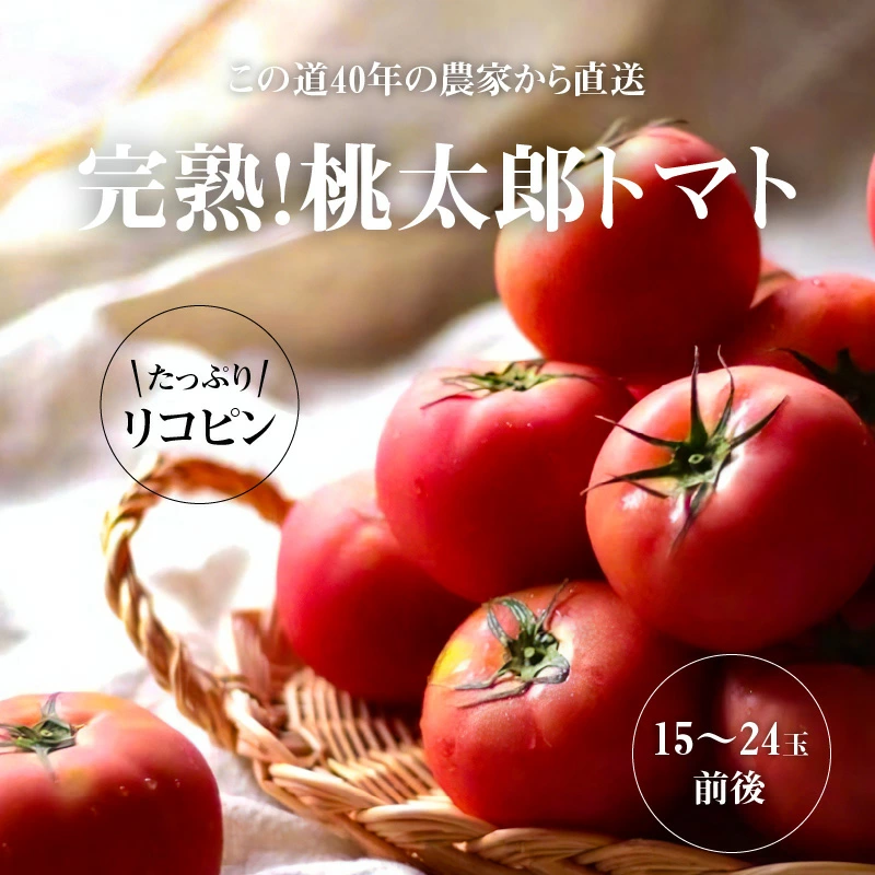 【訳あり】 この道40年の農家から直送 完熟！桃太郎トマト15～24玉　H139-017