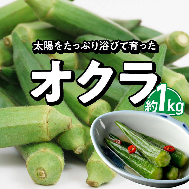 【2026年発送】太陽をたっぷり浴びて育った　オクラ１kg　H139-021