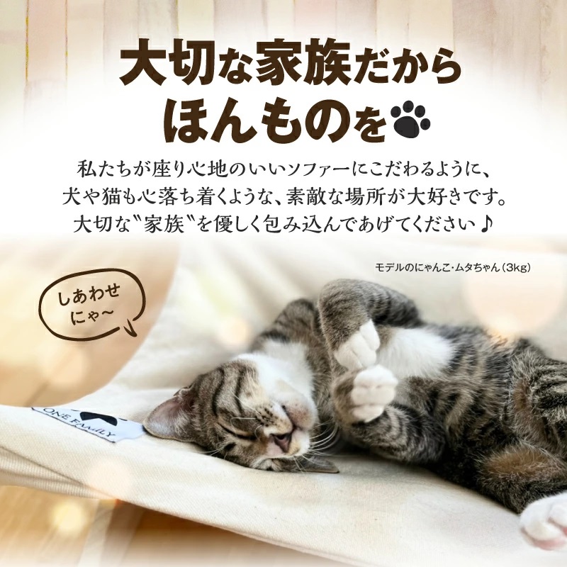 【リアルダウン使用】 ハンモックタイプの 羽毛ペットベッド　クッション 犬や猫が喜ぶ！ H162-042