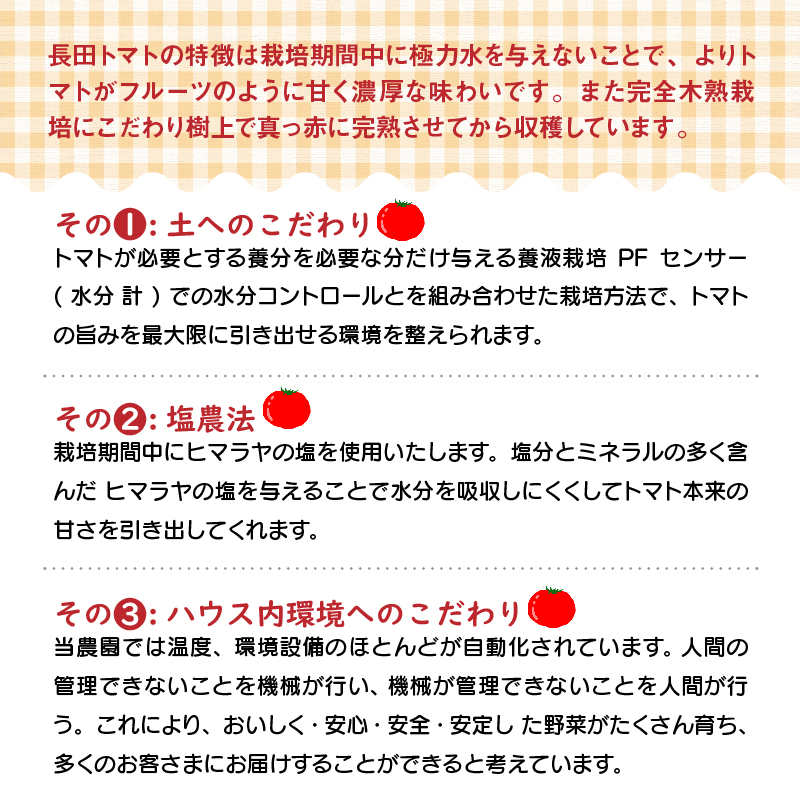 1月～6月毎月発送　幻のミニトマト　トマトベリーの定期便　6回コース 野菜ソムリエサミット 金賞 受賞 長田農園 産地直送 トマト とまと 野菜 やさい フルーツ サラダ 濃厚 甘い ご褒美 プレゼント 美容 健康 リピート多数 人気 高評価 数量限定 碧南市 H004-134