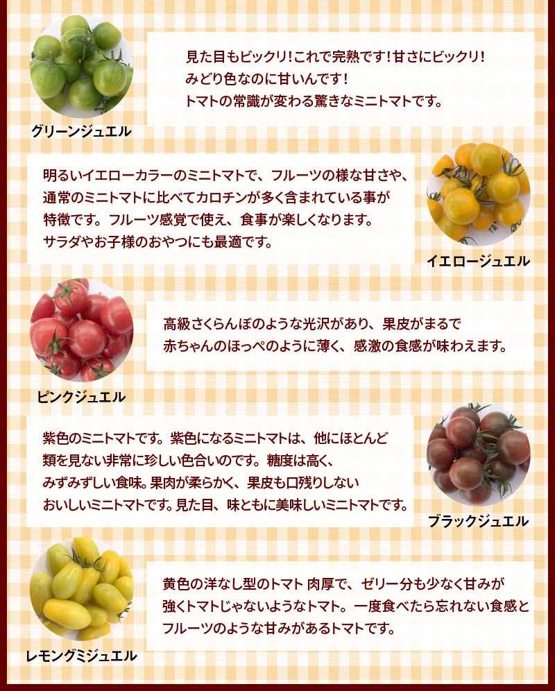 【先行受付】2027年1月～6月毎月発送　まるでトマトの宝石箱！ジュエリートマトの定期便　6回コース　H004-205