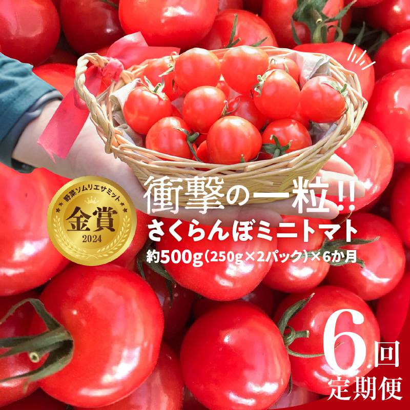 【先行受付】2027年1月～6月毎月発送　新食感!!奇跡のさくらんぼミニトマトの定期便 約500g×6回コース 野菜ソムリエサミット 金賞 受賞 長田農園 産地直送 トマト とまと 野菜 やさい フルーツ サラダ 濃厚 甘い ご褒美 プレゼント 美容 健康 リピート多数 人気 高評価 数量限定 碧南市 H004-190