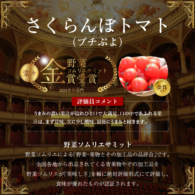 【先行受付】2027年1月～6月毎月発送　新食感!!奇跡のさくらんぼミニトマトの定期便 約500g×6回コース 野菜ソムリエサミット 金賞 受賞 長田農園 産地直送 トマト とまと 野菜 やさい フルーツ サラダ 濃厚 甘い ご褒美 プレゼント 美容 健康 リピート多数 人気 高評価 数量限定 碧南市 H004-190