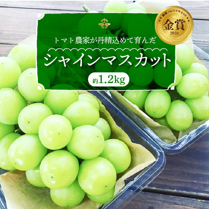 【2026年発送】皆さんの応援から実った シャインマスカット 約1.2kg（2房）【数量限定】 フルーツ 果物 長田農園 産地直送 甘い ご褒美 プレゼント 美容 健康 リピート多数 人気 高評価 碧南市 H004-151