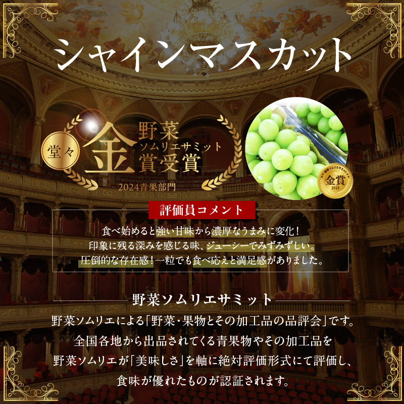 【2026年発送】皆さんの応援から実った シャインマスカット 約1.2kg（2房）【数量限定】 フルーツ 果物 長田農園 産地直送 甘い ご褒美 プレゼント 美容 健康 リピート多数 人気 高評価 碧南市 H004-151