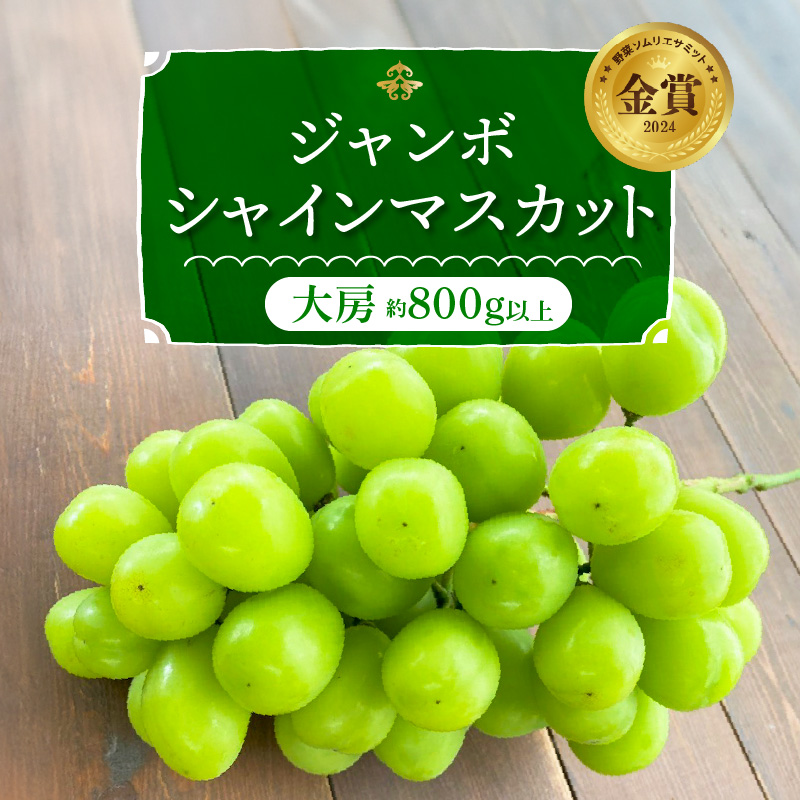 【2026年発送】特大房！ みなさんの応援から大きく実った特大シャインマスカット約800ｇ以上（1房）【数量限定】 フルーツ H004-152