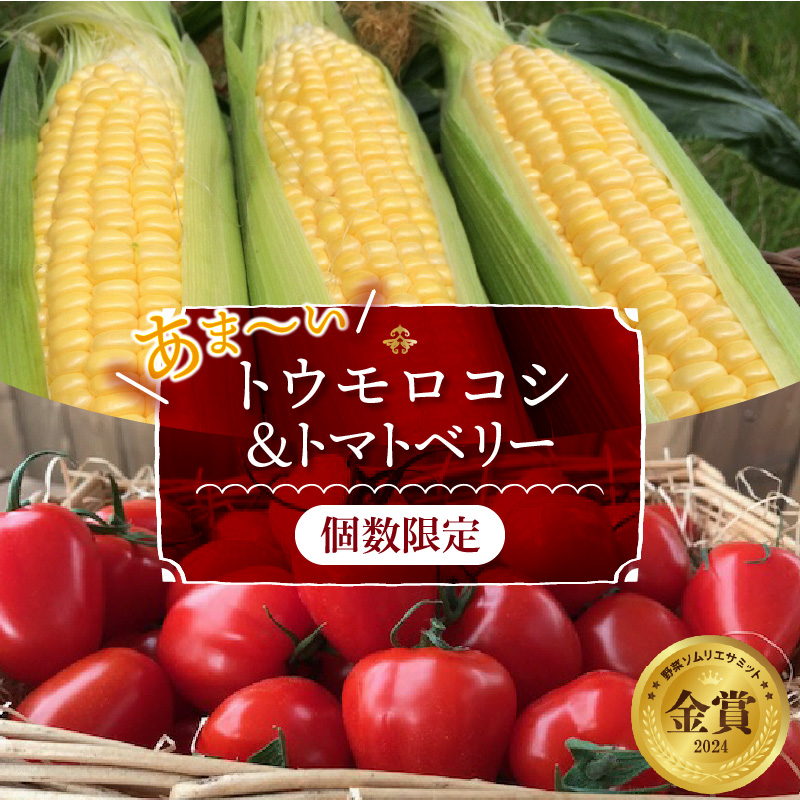【2025年度予約分】あま～いトウモロコシ＆トマトベリー　長田農園しかできない夢の共演 【個数限定】 野菜ソムリエサミット 金賞 受賞 長田農園 産地直送 トマト とまと 野菜 やさい フルーツ サラダ 濃厚 甘い ご褒美 プレゼント 美容 健康 リピート多数 人気 高評価 数量限定 碧南市 H004-160