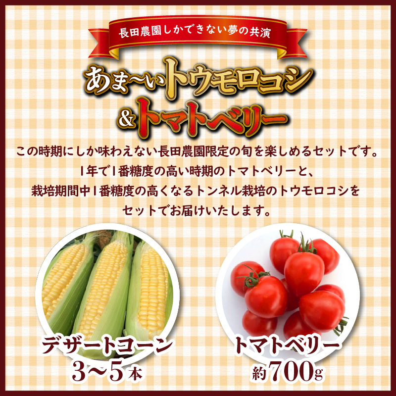 【2025年度予約分】あま～いトウモロコシ＆トマトベリー　長田農園しかできない夢の共演 【個数限定】 野菜ソムリエサミット 金賞 受賞 長田農園 産地直送 トマト とまと 野菜 やさい フルーツ サラダ 濃厚 甘い ご褒美 プレゼント 美容 健康 リピート多数 人気 高評価 数量限定 碧南市 H004-160