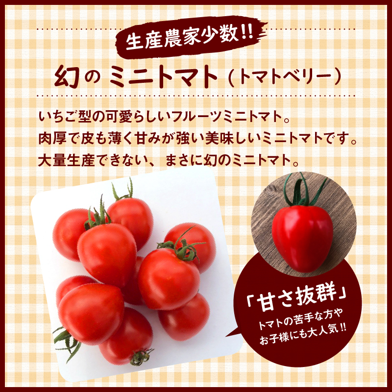 【4月～6月の定期便】たっぷり約2kg×3回！ 人気No.1トマトベリーの定期便 野菜ソムリエサミット 金賞 受賞 長田農園 産地直送 トマト とまと 野菜 やさい フルーツ サラダ 濃厚 甘い ご褒美 プレゼント 美容 健康 リピート多数 人気 高評価 数量限定 碧南市 H004-131