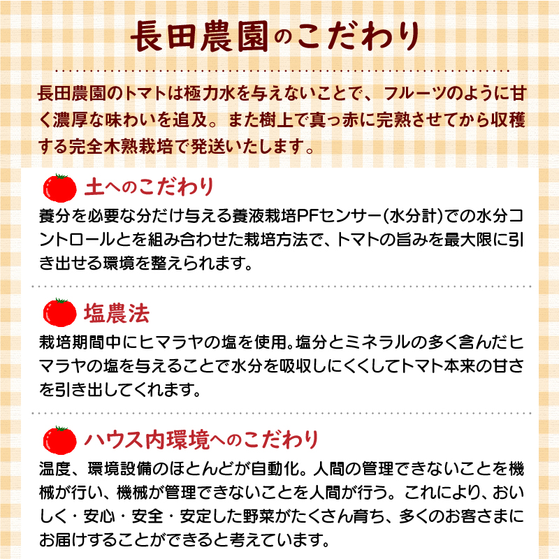 【数量限定】たっぷり約2kg×3回！ 人気No.1トマトベリーの定期便（4月～6月毎月お届け3回コース）　H004-131