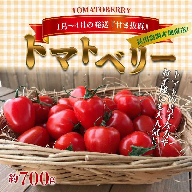 【お試し】甘さ抜群!トマト嫌いでも食べられるトマトベリー 約700g（1月～4月発送） 野菜ソムリエサミット 金賞 受賞 長田農園 産地直送 トマト とまと 野菜 やさい フルーツ サラダ 濃厚 甘い ご褒美 プレゼント 美容 健康 リピート多数 人気 高評価 数量限定 碧南市 H004-125