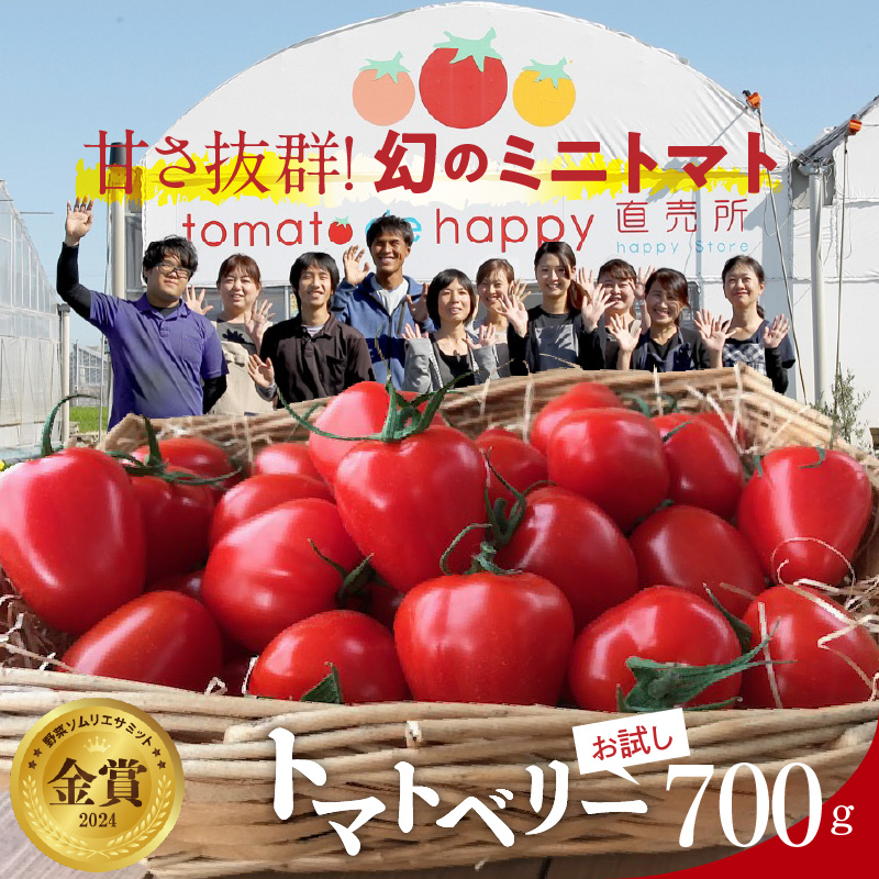 【お試し】甘さ抜群!トマト嫌いでも食べられるトマトベリー 約700g（1月～4月発送） 野菜ソムリエサミット 金賞 受賞 長田農園 産地直送 トマト とまと 野菜 やさい フルーツ サラダ 濃厚 甘い ご褒美 プレゼント 美容 健康 リピート多数 人気 高評価 数量限定 碧南市 H004-125