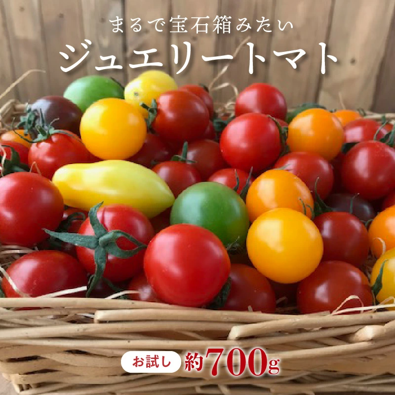 【先行受付】2026年11月から発送【お試し】まるでトマトの宝石箱！ジュエリートマト 約700g（11月～2月発送）　長田農園 産地直送 トマト とまと 野菜 やさい フルーツ サラダ 濃厚 甘い ご褒美 プレゼント 美容 健康 リピート多数 人気 高評価 先行受付 数量限定 碧南市　H004-184_Nov