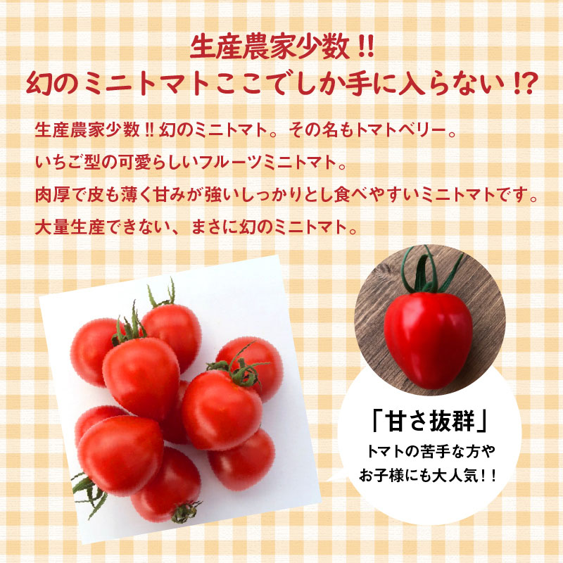 【人気No.1セット】ファンにならずにいられない ファーストトマト＆トマトベリー 計約1.4kｇ（3月～5月で発送） 野菜ソムリエサミット 金賞 受賞 長田農園 産地直送 トマト とまと 野菜 やさい フルーツ サラダ 濃厚 甘い ご褒美 プレゼント 美容 健康 リピート多数 人気 高評価 数量限定 碧南市 H004-149