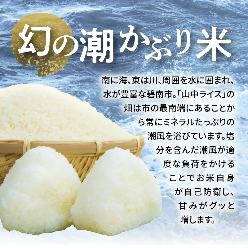 【幻の潮かぶり米】令和6年産新米 あいちのかおり&コシヒカリ＆ミルキークイーン 3品種 食べ比べ 9kg（3kg×3袋）米 コメ 新米 あいち 愛知 かおり コシヒカリ こしひかり ミルキー 予約 予約受付 H073-006