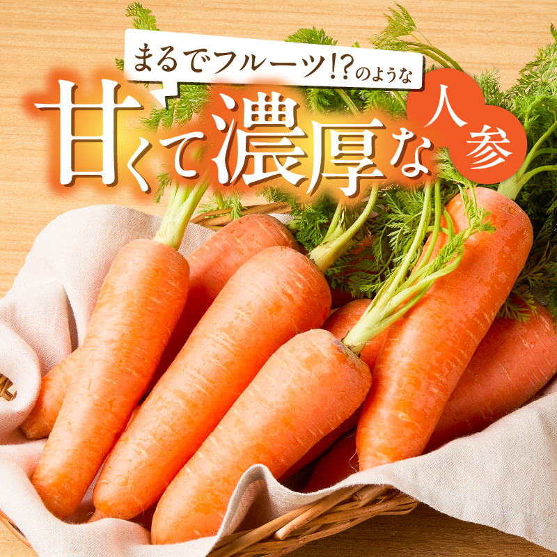 〈予約受付〉メディア出演多数！【期間限定】鈴盛農園の甘～いにんじん スウィートキャロットリリィ 5kg H022-013