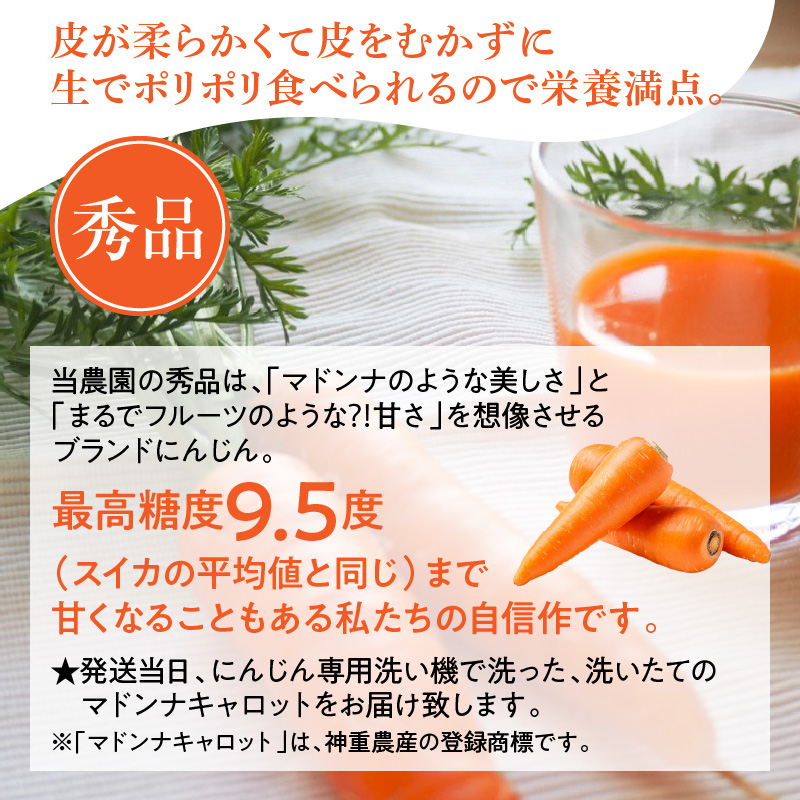 【予約受付】＜フジテレビ『どっちのふるさと？』で紹介されました！＞ こどもも食べられる甘み！ジュースにしても美味しい！「マドンナキャロット」 10kg にんじん 野菜 H105-123