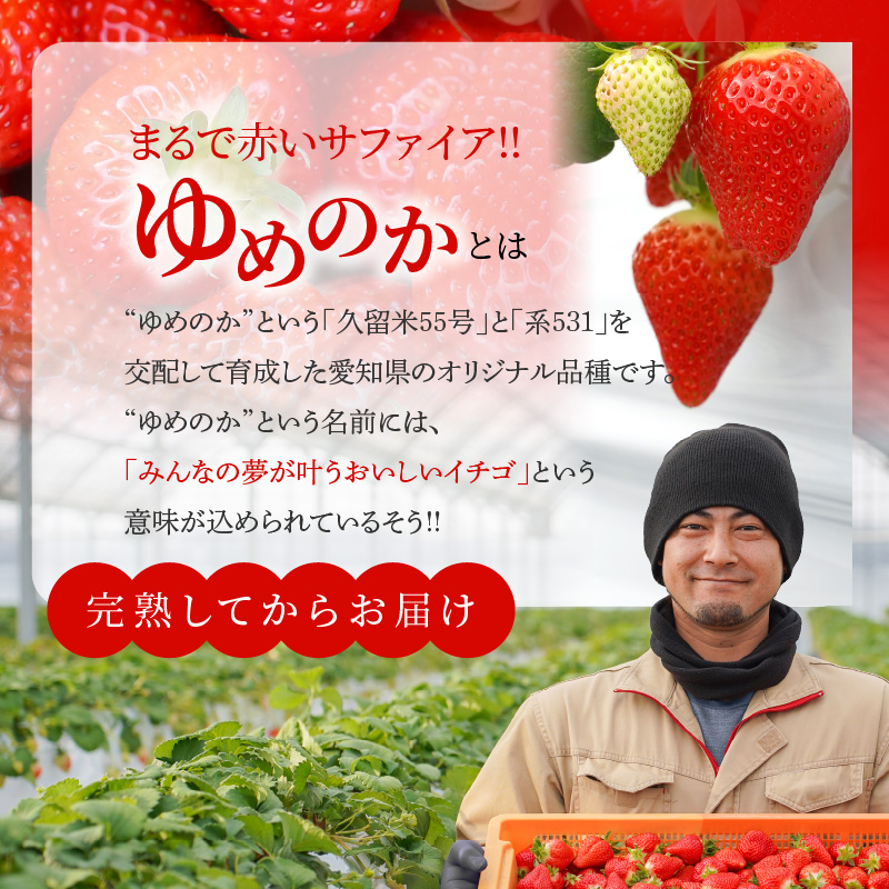 （予約受付中）【12月から順次発送】まるで赤いサファイア!!丹精込めた完熟いちご!! 約900g　H130-010