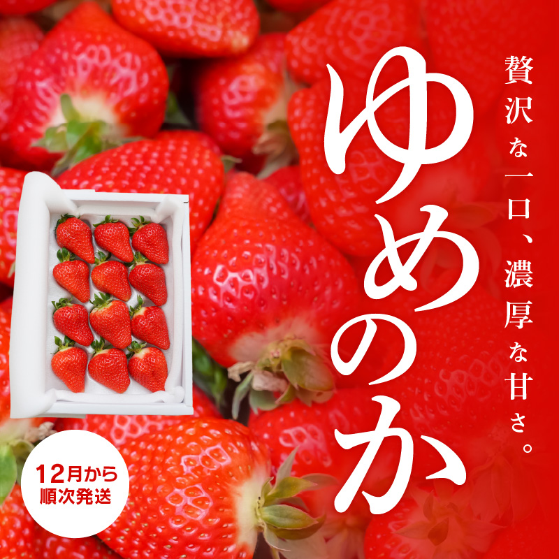 （予約受付中）【12月以降順次発送】まるで赤いサファイア!!丹精込めた完熟いちご!! 約450g H130-012