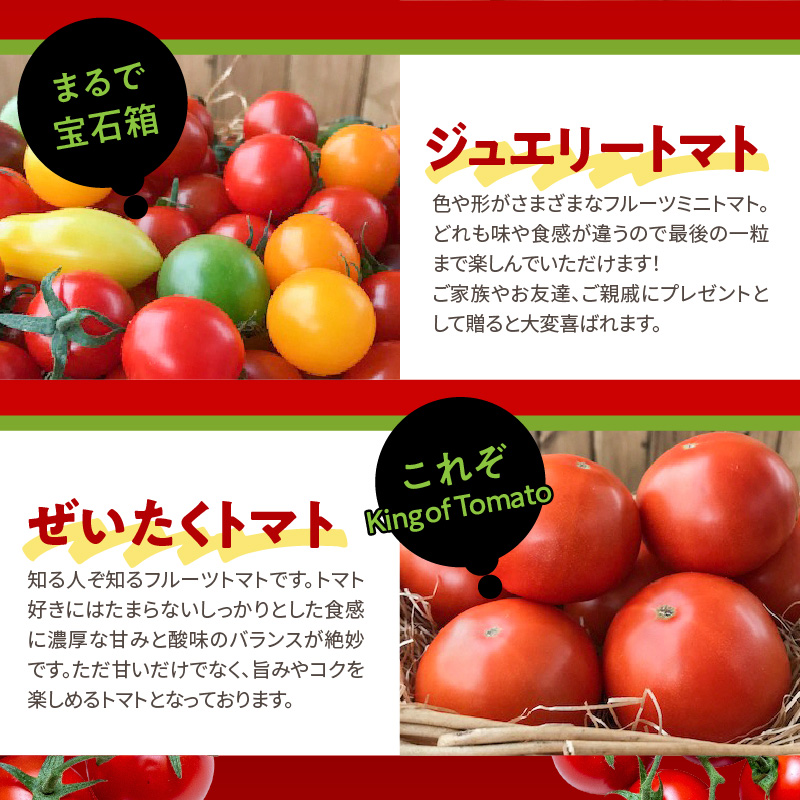 【4月～6月の定期便】トマト好き全員集合 トマト・トマト・トマト3か月お届けパック 野菜ソムリエサミット 金賞 受賞 長田農園 産地直送 トマト とまと 野菜 やさい フルーツ サラダ 濃厚 甘い ご褒美 プレゼント 美容 健康 リピート多数 人気 高評価 数量限定 碧南市　H004-173