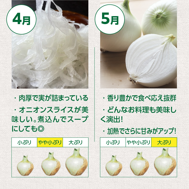 【7/1～8/31受付限定】 5kg→特別容量6kg (2027年発送) ≪『満天☆青空レストラン』で紹介されました！≫ 新玉ねぎ 生がおいしい 神重農産のブランド玉ねぎ「旬玉」6kg　H105-273