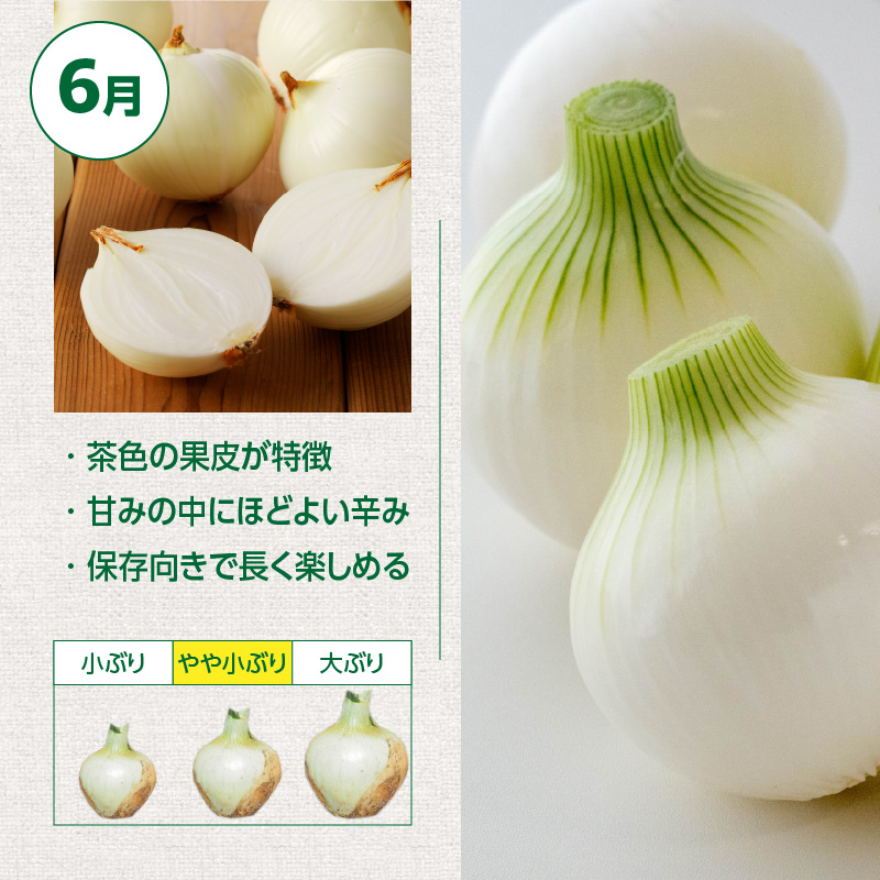 【7/1～8/31受付限定】 5kg→特別容量6kg (2027年発送) ≪『満天☆青空レストラン』で紹介されました！≫ 新玉ねぎ 生がおいしい 神重農産のブランド玉ねぎ「旬玉」6kg　H105-273