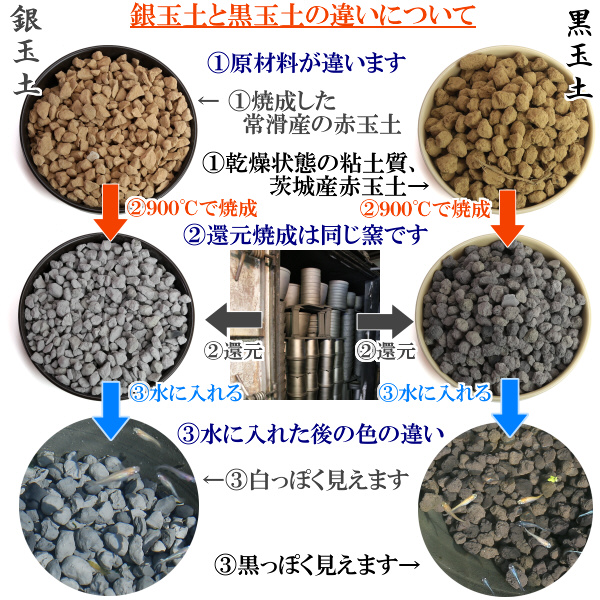 【バクテリアが多く住める多孔質ろ材】黒玉土１リットル　めだか鉢 金魚鉢 メダカ 鉢 陶器 睡蓮 多孔質土　H100-085