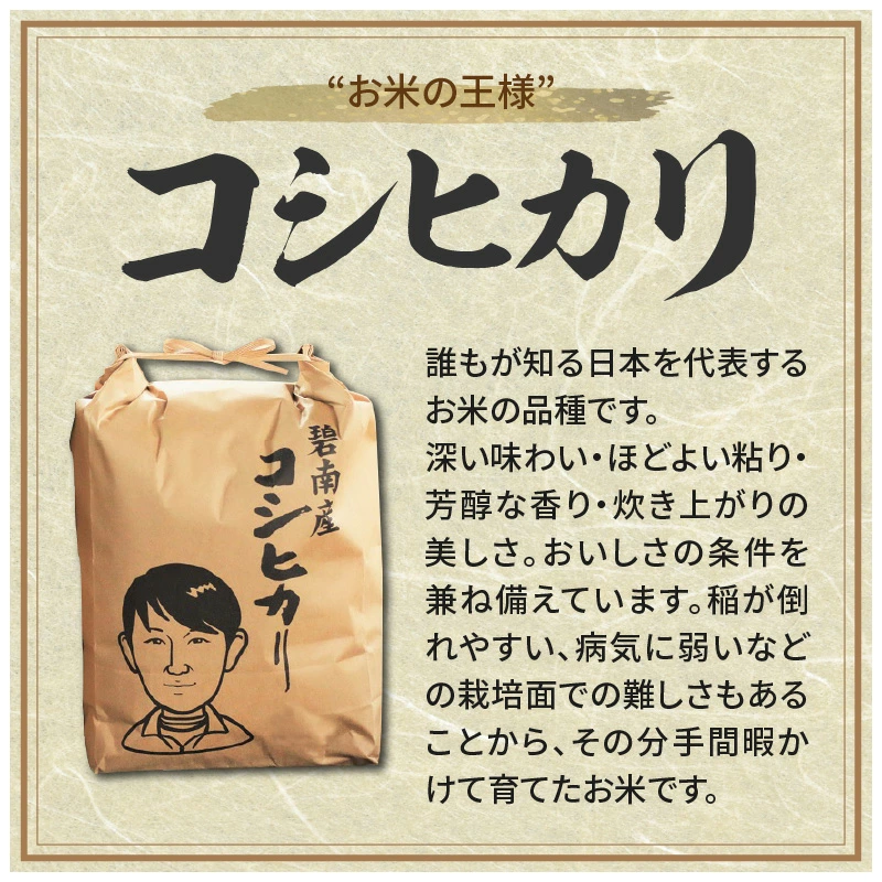 【幻の潮かぶり米】令和6年産新米 あいちのかおり&コシヒカリ＆ミルキークイーン 3品種 食べ比べ 9kg（3kg×3袋）米 コメ 新米 あいち 愛知 かおり コシヒカリ こしひかり ミルキー 予約 予約受付 H073-006