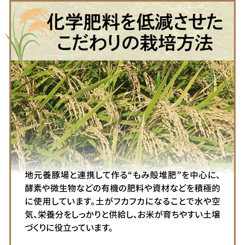 【幻の潮かぶり米】令和6年産新米 あいちのかおり&コシヒカリ2品種 食べ比べ10kg（5kg×2袋） 米 コメ 新米 あいち 愛知 かおり コシヒカリ こしひかり 予約 予約受付 H073-005