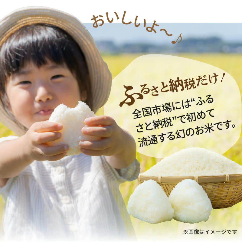 〈数量限定〉【幻の潮かぶり米】令和7年産新米 あいちのかおり&コシヒカリ2品種 食べ比べ10kg（5kg×2袋） 令和７年度産　新米　米 コメ 新米 あいち 愛知 かおり コシヒカリ こしひかり 数量限定 H073-009