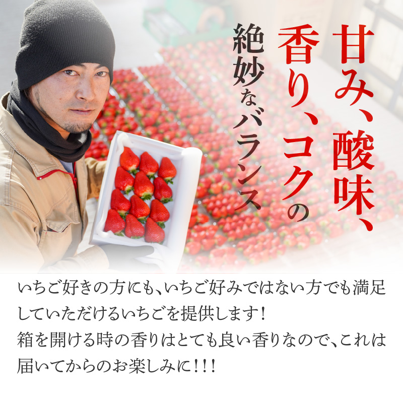 （予約受付中）【12月以降順次発送】まるで赤いサファイア!!丹精込めた完熟いちご!! 約450g H130-012
