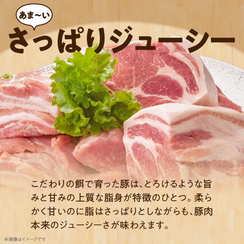 ブランド豚 “三州あおみ豚” 焼肉セット 計1.5kg（肩ロース500g＆豚バラ500g＆スペアリブ500g） 豚肉 冷凍 H030-011