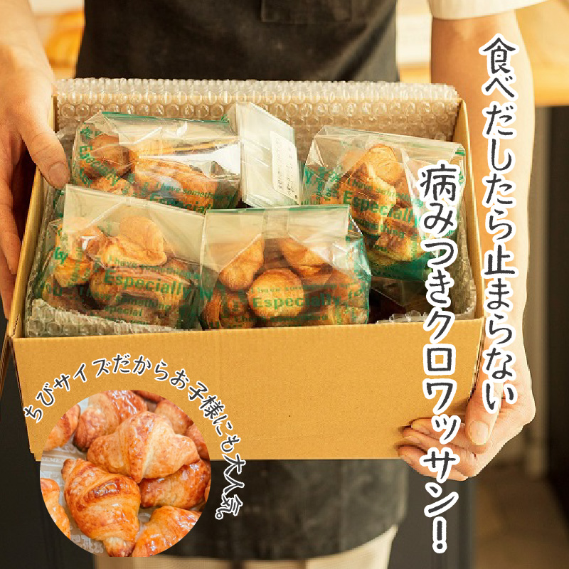 全粒粉ちびクロワッサン　どーんと1kg 約125個！（10個入り12袋+4～5個入り1袋） H087-009