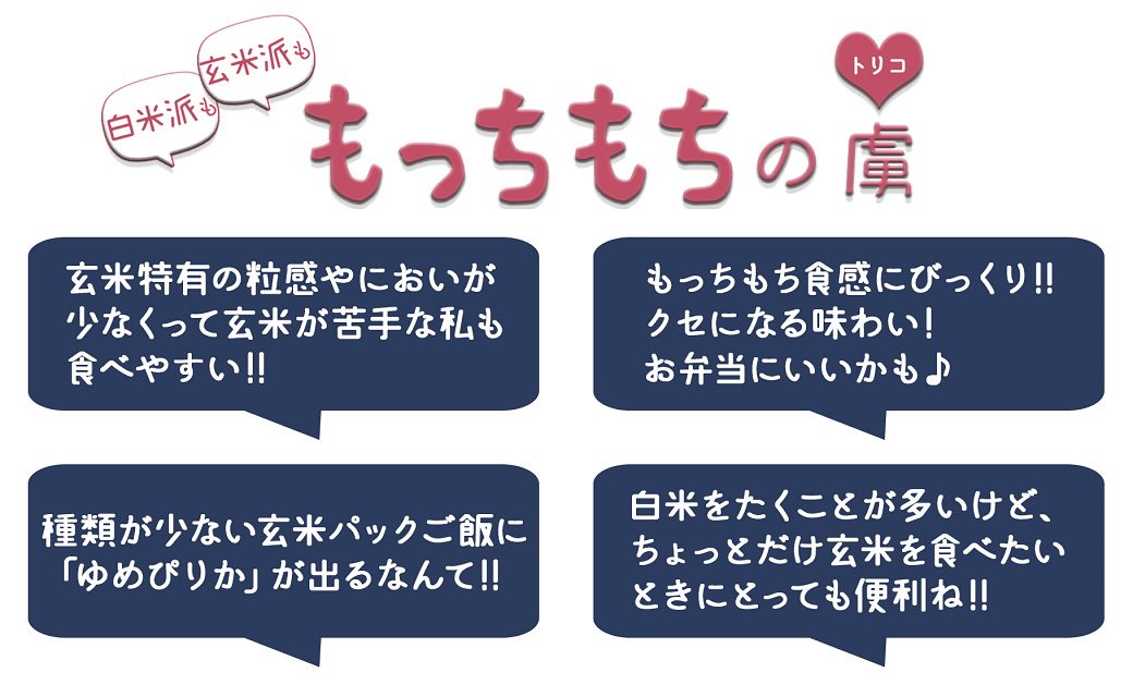【6回定期便　玄米パックご飯】北海道産ゆめぴりか使用 150g×24個入り やわらかい玄米ごはん レトルト 玄米 パックライス レンジ 保存食 非常食 防災 キャンプ ごはん 玄米 一人暮らし 備蓄 タイパ飯 安心安全なヤマトライス　H074-654
