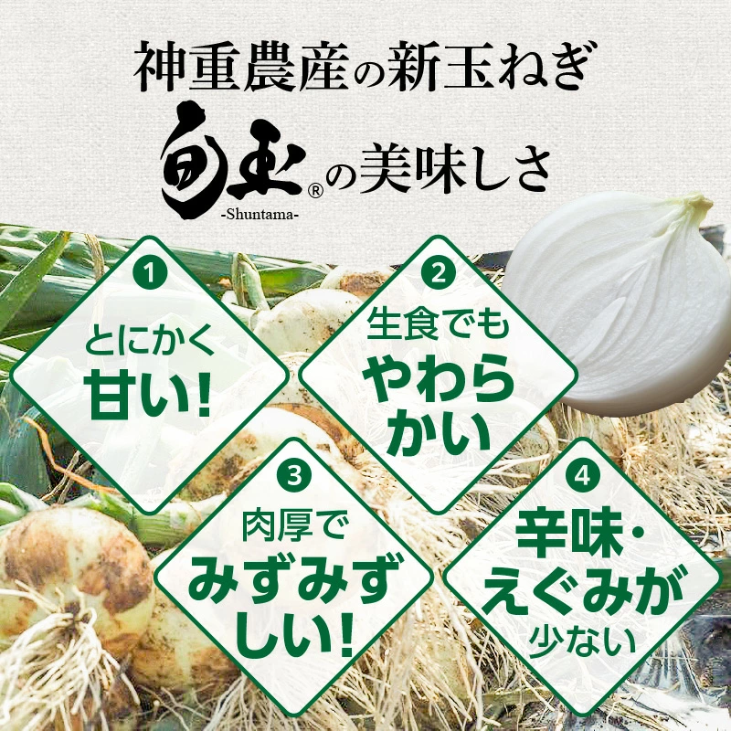 にんじん 新玉ねぎ 定期便 2回　旬の美味しい季節にお届け マドンナキャロット 旬玉　H105-130