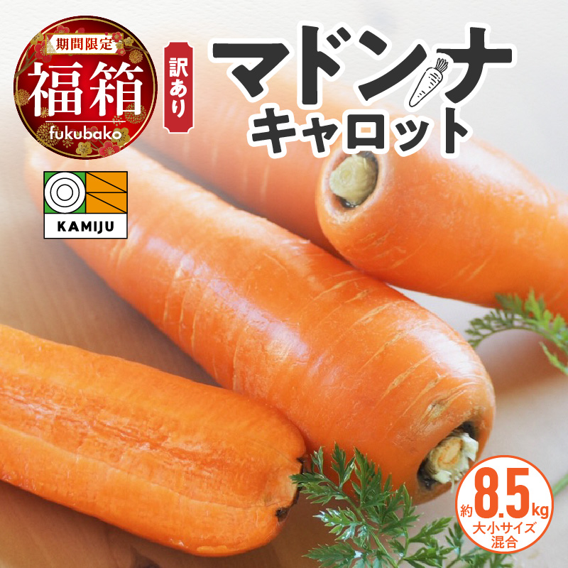 ＜フジテレビ『どっちのふるさと？』で紹介されました！＞ 福箱★2026 訳あり 野菜 にんじん マドンナキャロット 8.5kg 大小サイズ混合 国産 不揃い こどもも食べられる 甘み 料理 キャロット ジュース 野菜ジュース 福袋 愛知県 碧南市 お取り寄せ 送料無料 H105-168