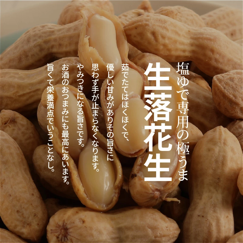 【2026年発送】事前予約 やみつき極うま “金の生落花生” 1kg(500g×2袋) 生ピーナッツ 塩ゆで専用　H105-195