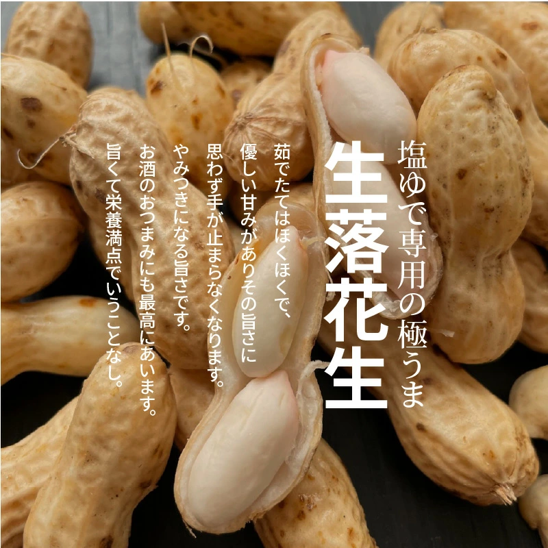 【2026年発送】事前予約 やみつき極うま “金の生落花生” 1.5kg(500g×3袋) 生ピーナッツ 塩ゆで専用　H105-196