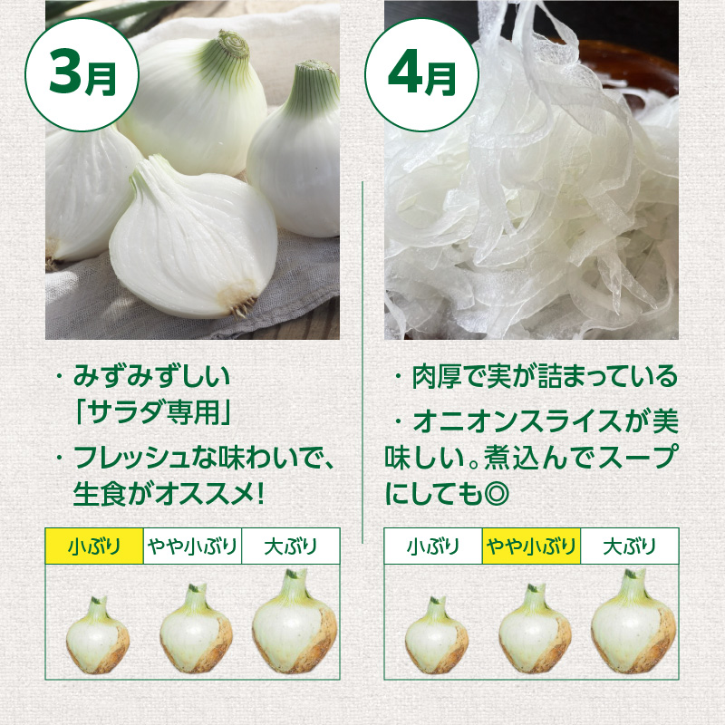 (2026年発送)【数量限定】訳あり 新玉ねぎ 生がおいしい 神重農産のブランド玉ねぎ「旬玉」2.5kg ブランド玉ねぎ 玉ねぎ 国産 愛知県産 野菜 やさい 農家直送 畑直送 旬 期間限定 たまねぎ 先行予約 旬 特産 高評価 高リピート 人気 H105-152