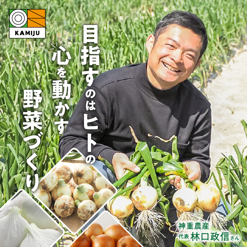 【5/31まで受付】(2026年発送) ≪『満天☆青空レストラン』で紹介されました！≫ 訳あり 新玉ねぎ 生がおいしい 神重農産のブランド玉ねぎ「旬玉」2kg ブランド玉ねぎ 玉ねぎ 国産 愛知県産 野菜 やさい 農家直送 畑直送 旬 期間限定 たまねぎ 先行予約 旬 特産 高評価 高リピート 人気日本テレビ H105-202