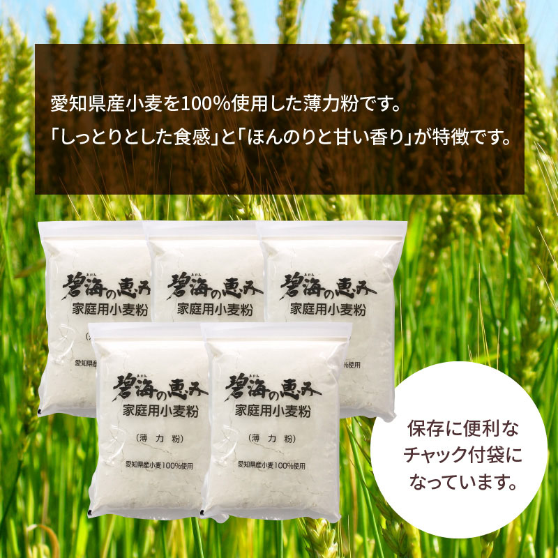 【小麦粉】碧海の恵み 薄力粉 国産 愛知県産 800g×5袋(計4kg)　H008-251